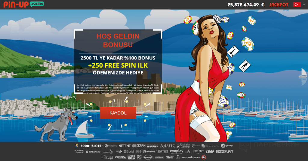 Pin Up Giriş